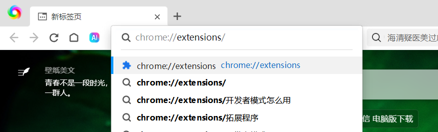 安装Cookie登录浏览器插件 - 操作截图 16（锋锋外贸助手图文教程）