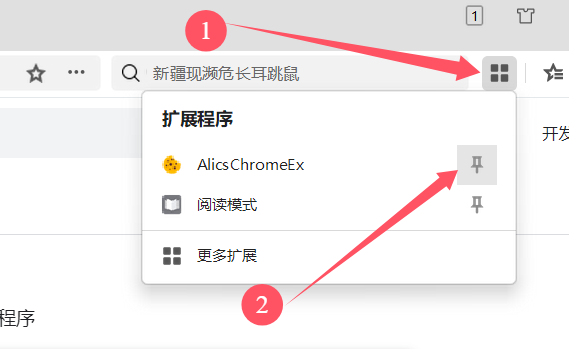 安装Cookie登录浏览器插件 - 操作截图 21（锋锋外贸助手图文教程）